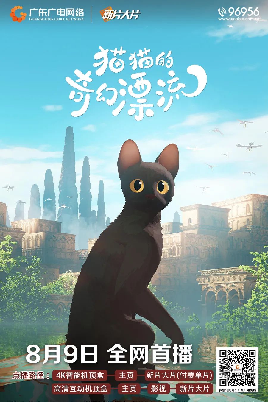 ͼƬ